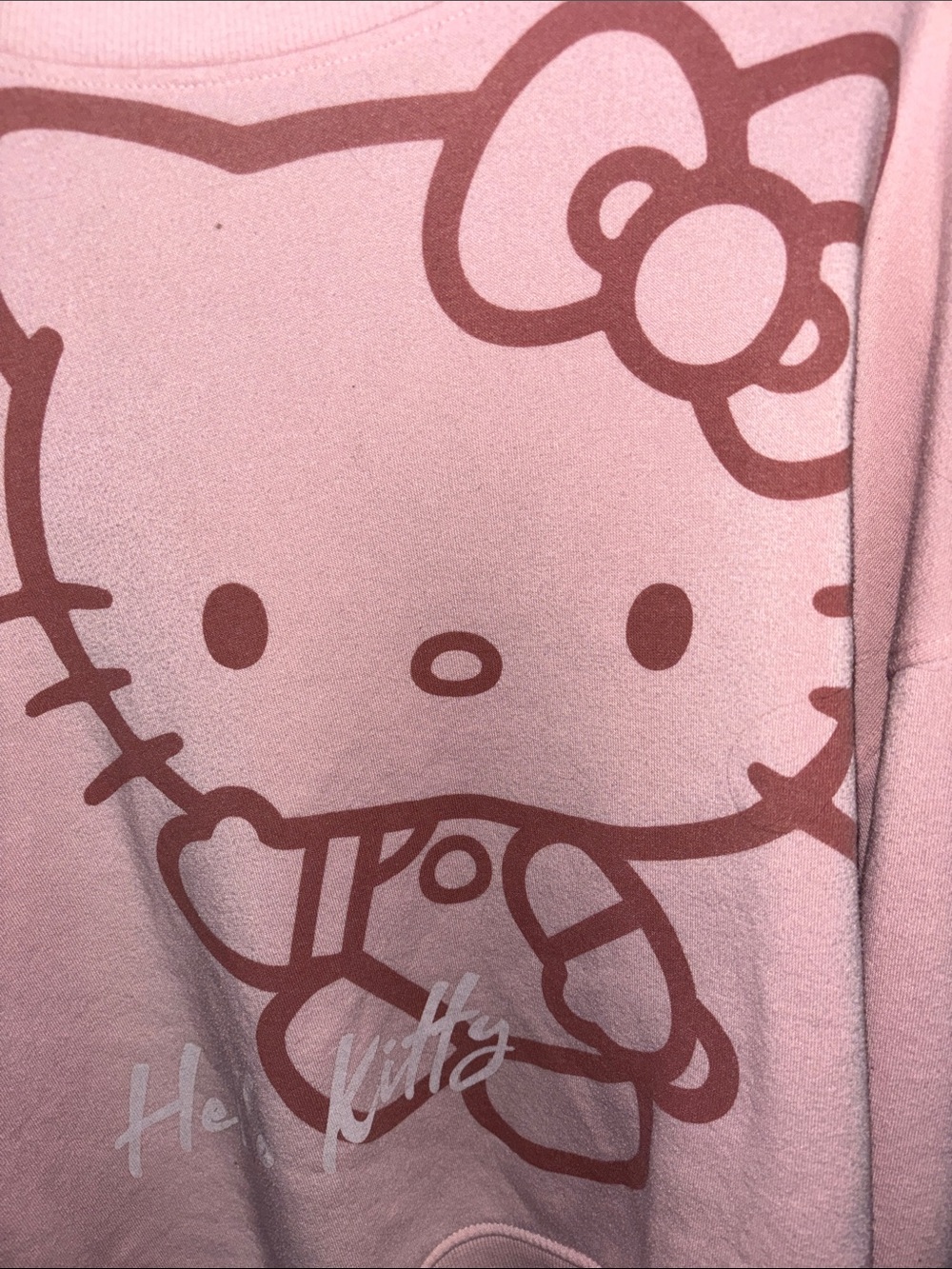 Hello Kitty Light Pink Crewneck with Brown Graphic - Picture 11 of 13